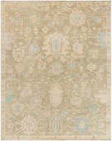 Detailed tan Amiri Area Rug showing a traditional, hand-knotted wool design with blue, pink and sage accents. Design-Rectangle-810