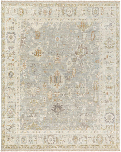 Jamil Area Rug