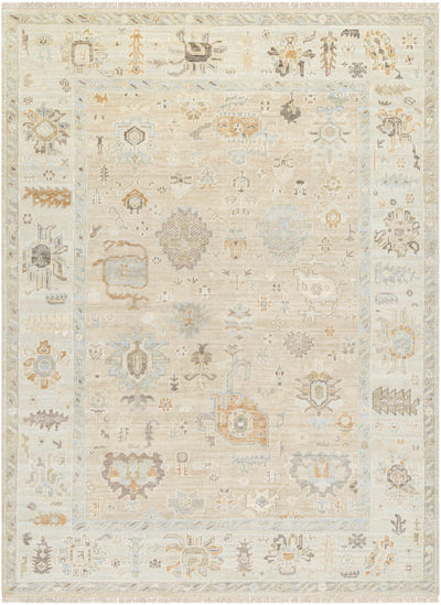 Sample Jyoti Area Rug