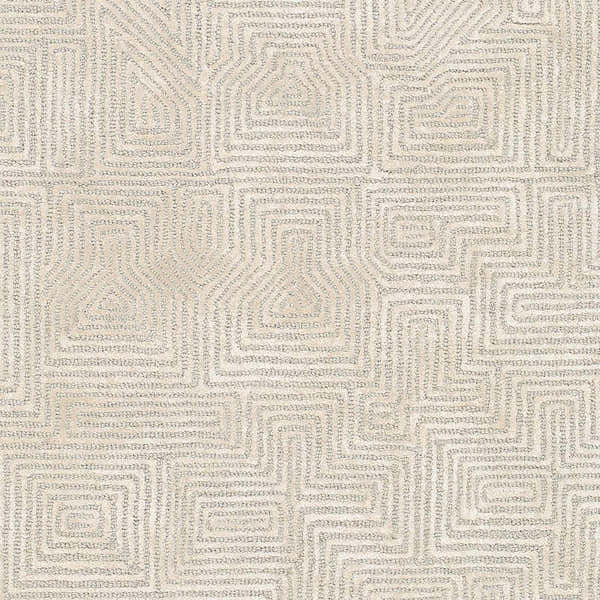 Sample Gray Hawa Area Rug