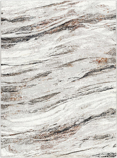 Sample Glain Gray & Brown Marble Area Rug