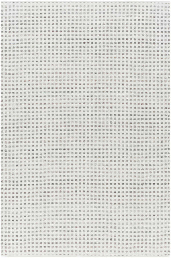 Sample Bence Cream & Gray Area Rug - Clearance