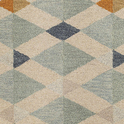 Sample Salay Area Rug