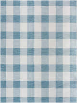Sample Meris Aqua Blue Plaid Area Rug - Clearance