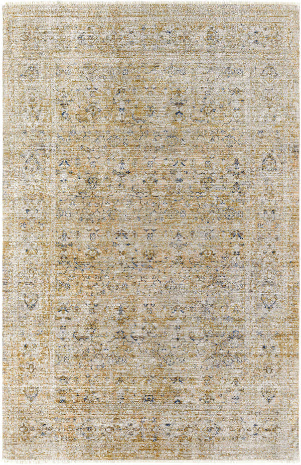 Close-up of the Ren Outdoor Becki Owens x LIVABLISS Rug, featuring a traditional pattern in taupe, blue, and brown tones. Design-Rectangle-5371