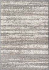 Sample Patel Area Rug - Clearance