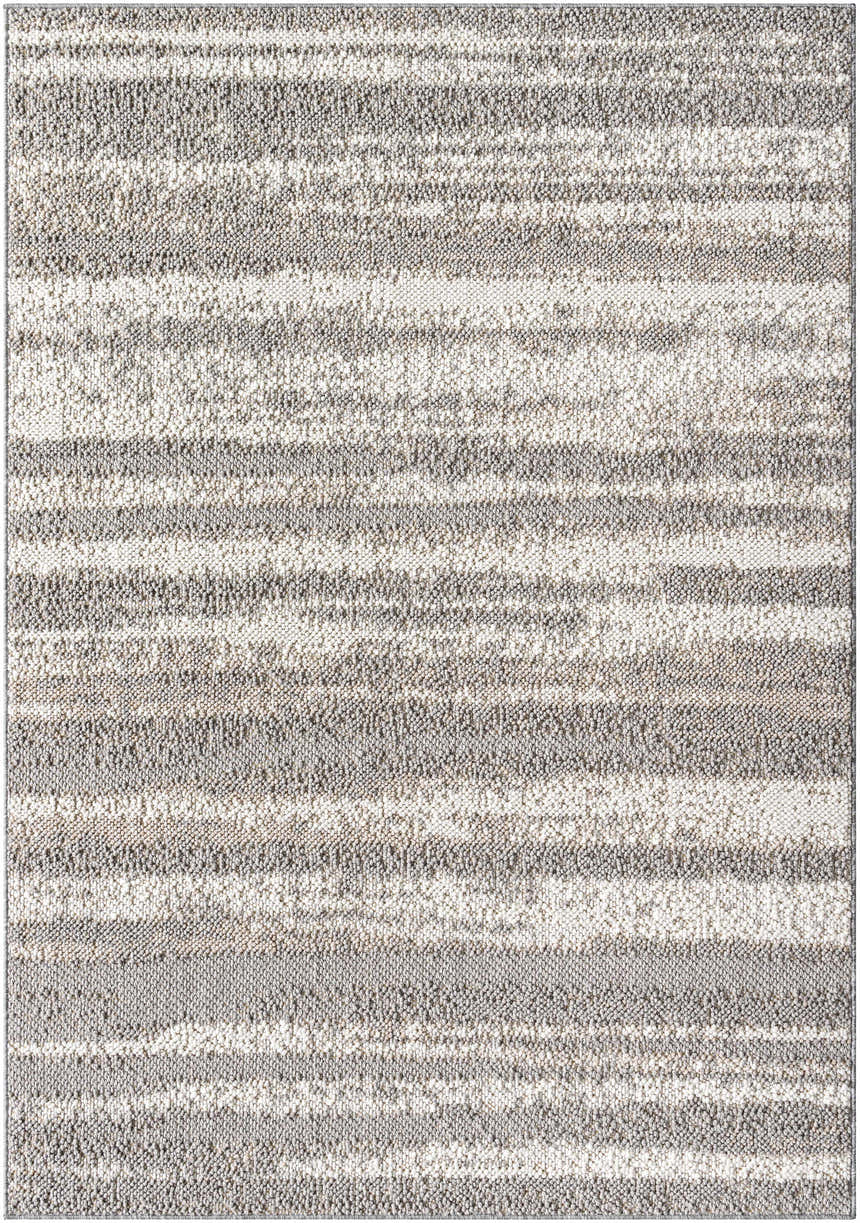 Sample Patel Area Rug - Clearance