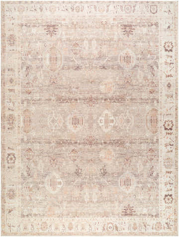 Close-up of the Marlene Becki Owens x LIVABLISS area rug. Machine woven polyester rug in camel, brown, charcoal, and ivory. Farmhouse style. Design-Rectangle-912