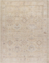 Marlene Machine Woven  Becki Owens x LIVABLISS BOMN-2308 Area Rug