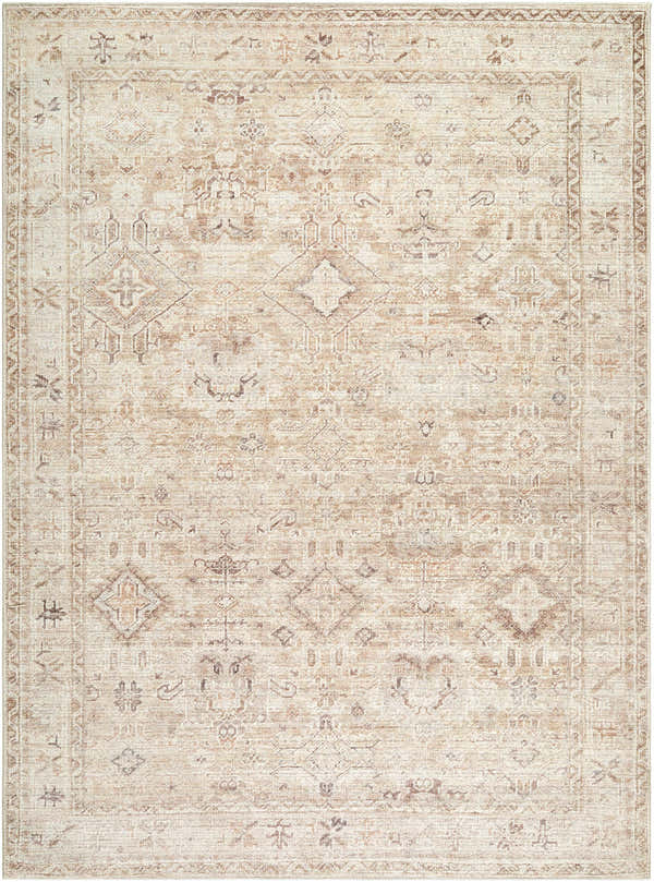 Close-up of the Nakia Area Rug. Beige, ivory, light brown, and tan tones with a traditional, farmhouse-style pattern. Design-Rectangle-58