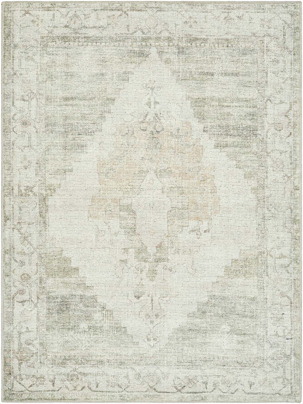 Close-up of Luca Machine Woven Becki Owens x LIVABLISS BONC-2302 Area Rug. Ivory, light brown, olive, and tan farmhouse style. Design-Rectangle-537