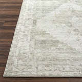 Luca Machine Woven  Becki Owens x LIVABLISS BONC-2302 Area Rug