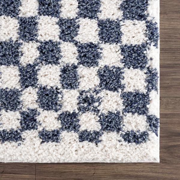 Sample Kieu Blue & White Checkered Area Rug