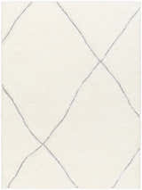 Sample Aizza Area Rug - Clearance