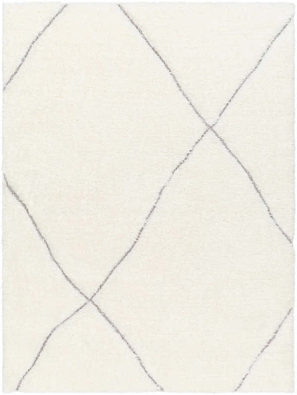 Sample Aizza Area Rug - Clearance