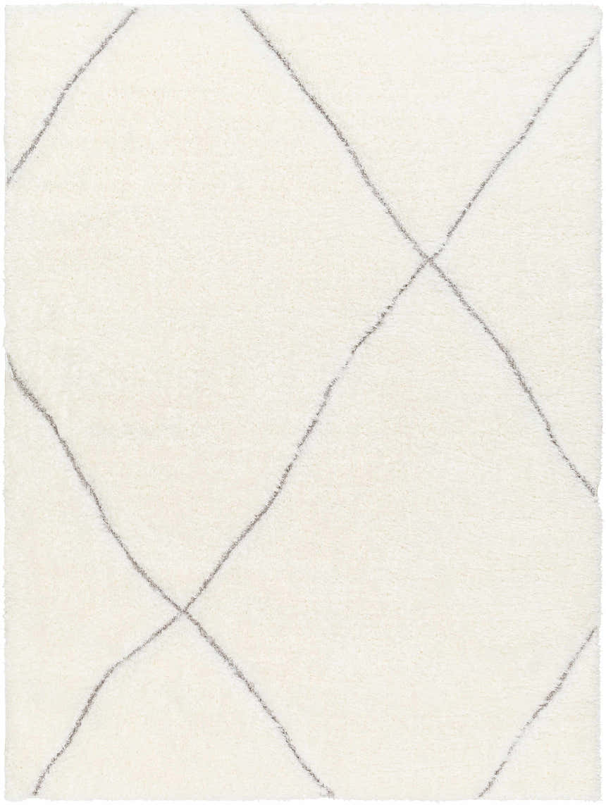Sample Aizza Area Rug - Clearance