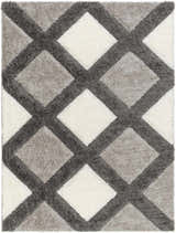 Sample Amias Gray Area Rug - Clearance