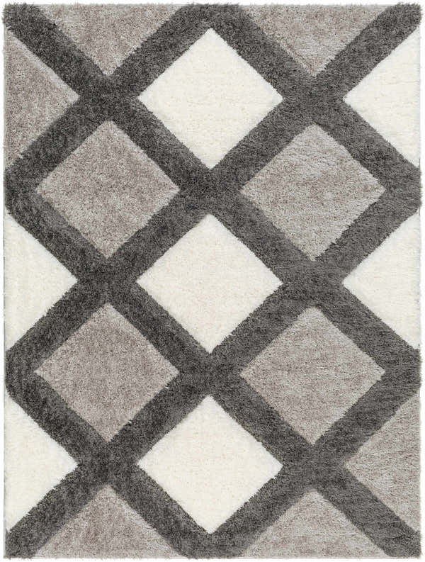 Sample Amias Gray Area Rug - Clearance