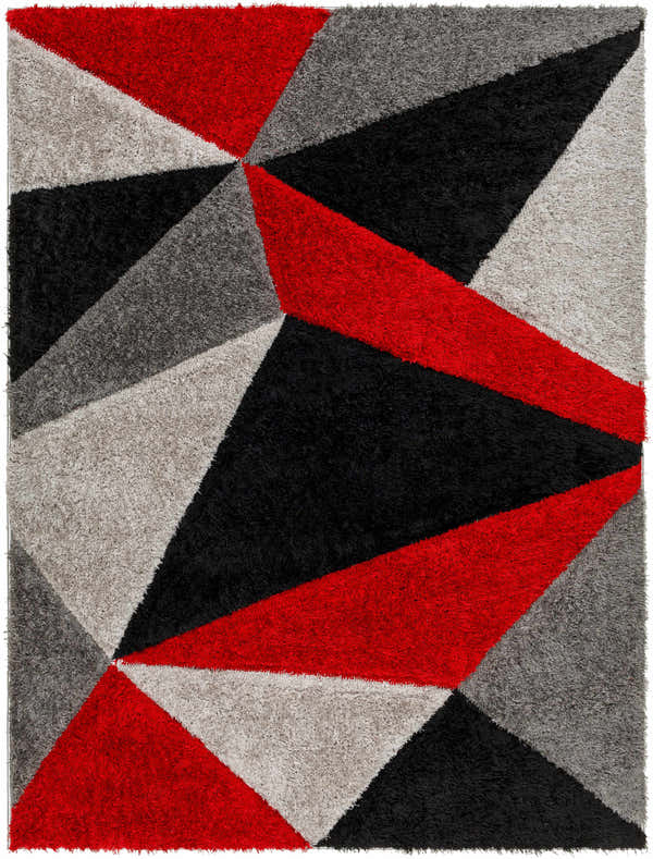 Sample Asho Area Rug - Clearance