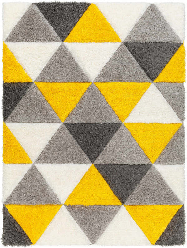 Sample Bruis Area Rug - Clearance
