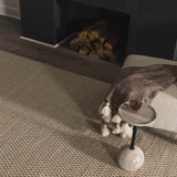 Ayers White & Beige Gambit Rug