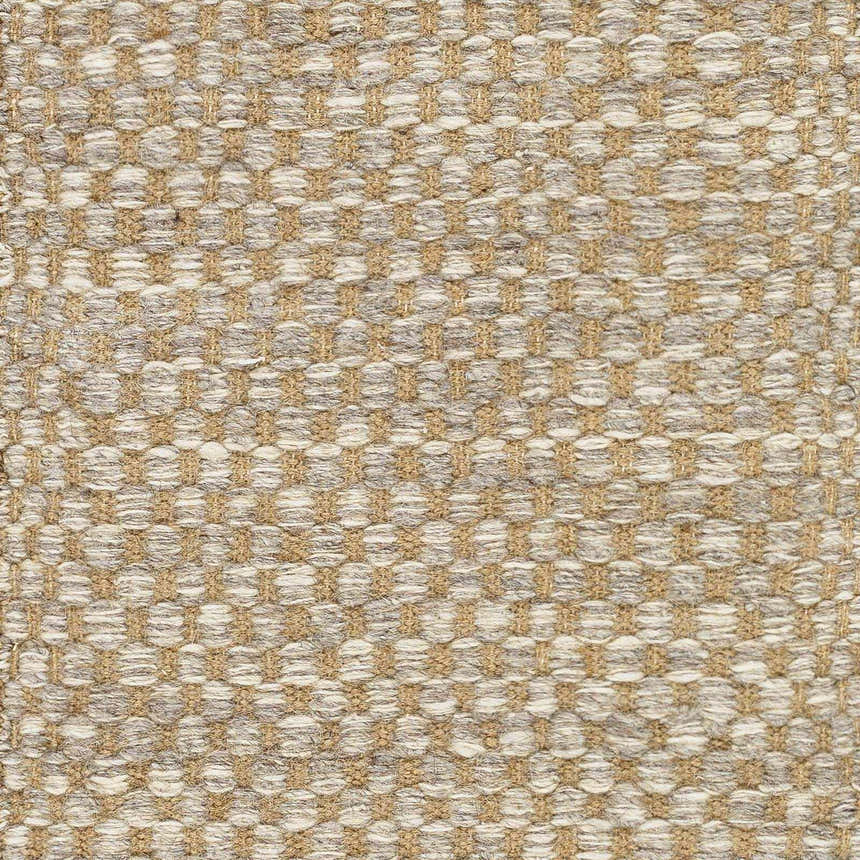 Sample Ayers Beige & Gray Area Rug - Clearance
