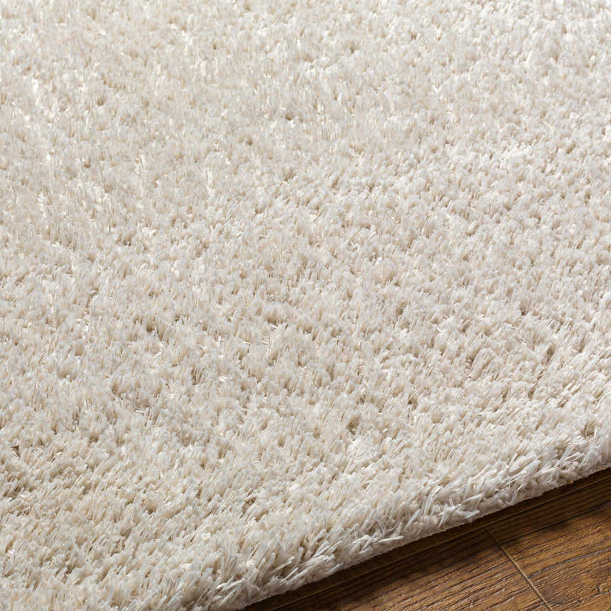 Close-up of the off-white Livabliss Cloudy Shag CDG-2307 rug showing its plush, textured pile and machine-woven construction. Texture