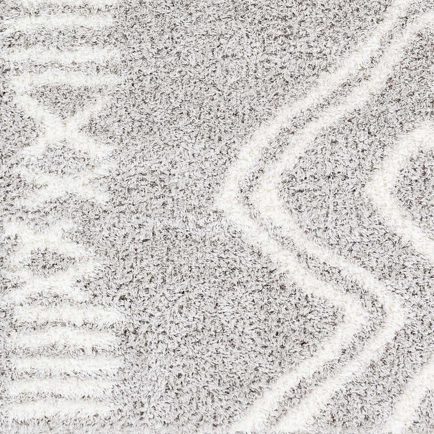 Sample Asael Gray Area Rug - Clearance
