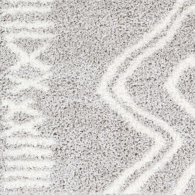 Sample Asael Gray Area Rug