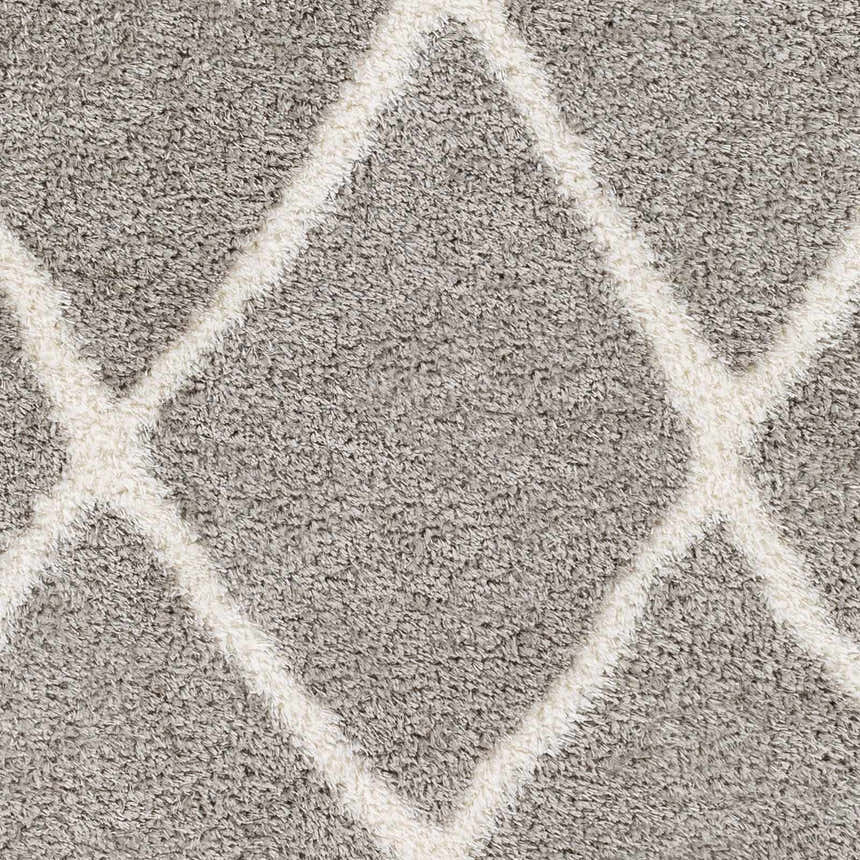 Sample Faye Area Rug