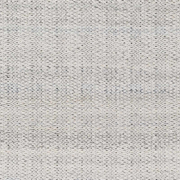 Sample Light Gray Anane Area Rug