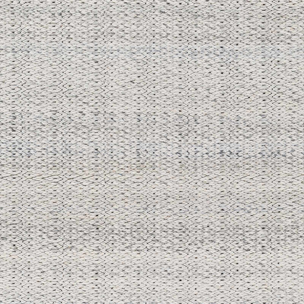 Sample Light Gray Anane Area Rug