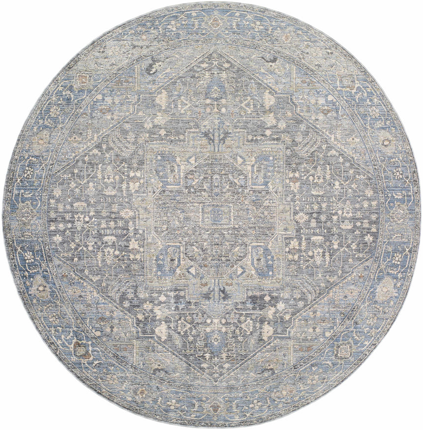 Alina Area Rug - Clearance