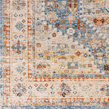 Sample Cyndi Area Rug - Clearance