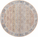 Dalit Area Rug - Clearance