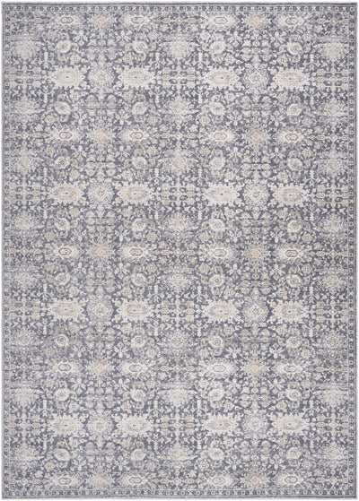 Sample Semaj Area Rug