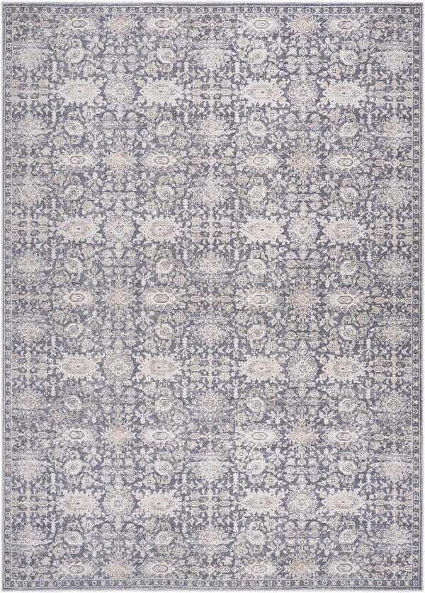 Sample Semaj Area Rug