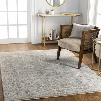 Scole Area Rug