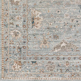 Scole Area Rug - Clearance