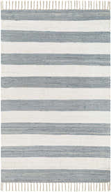 Sample Moby Gray Blue Area Rug