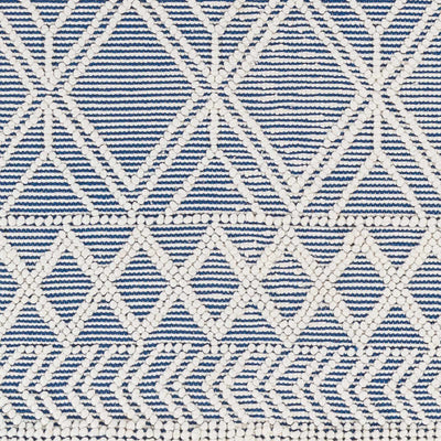 Sample Rika Area Rug