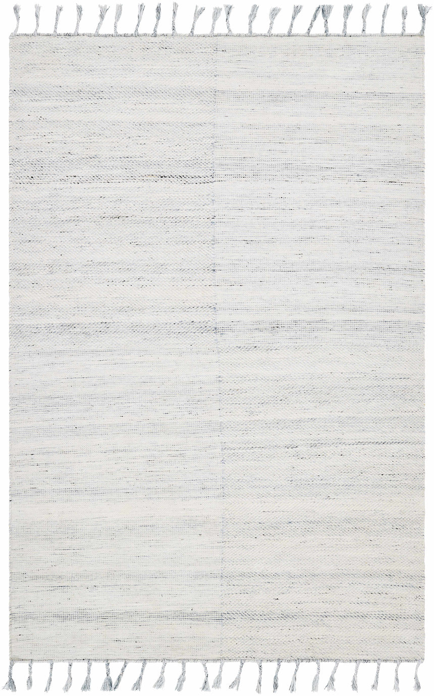 Anaya Beige & Blue Area Rug - Clearance