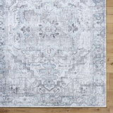 Nadia Silver Gray Area Rug