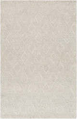 Sample Kasib Beige Hand Woven Area Rug - Clearance