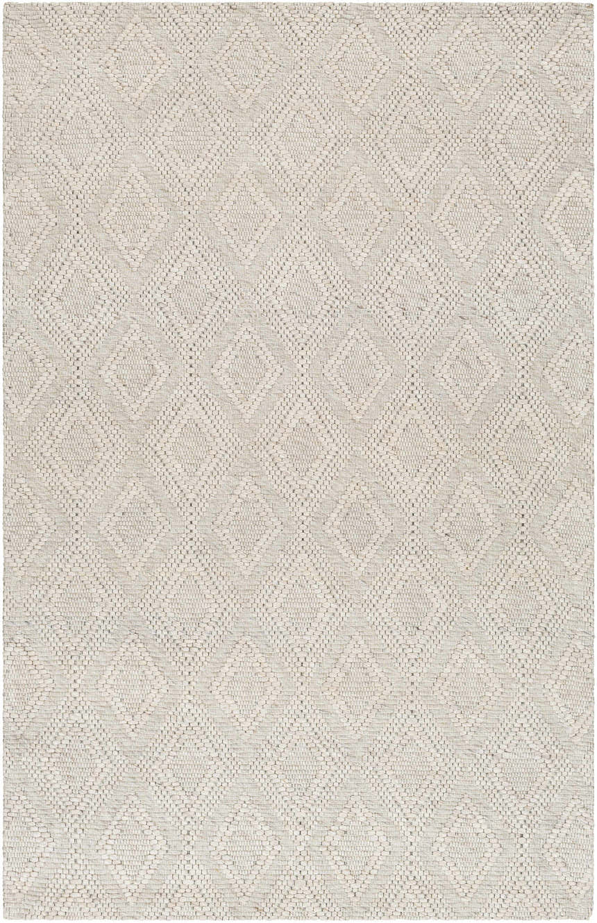 Sample Kasib Beige Hand Woven Area Rug - Clearance