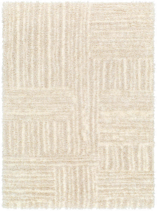 Sample Arich Beige Plush Area Rug - Clearance