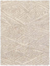 Sample Aysun Beige Plush Area Rug - Clearance