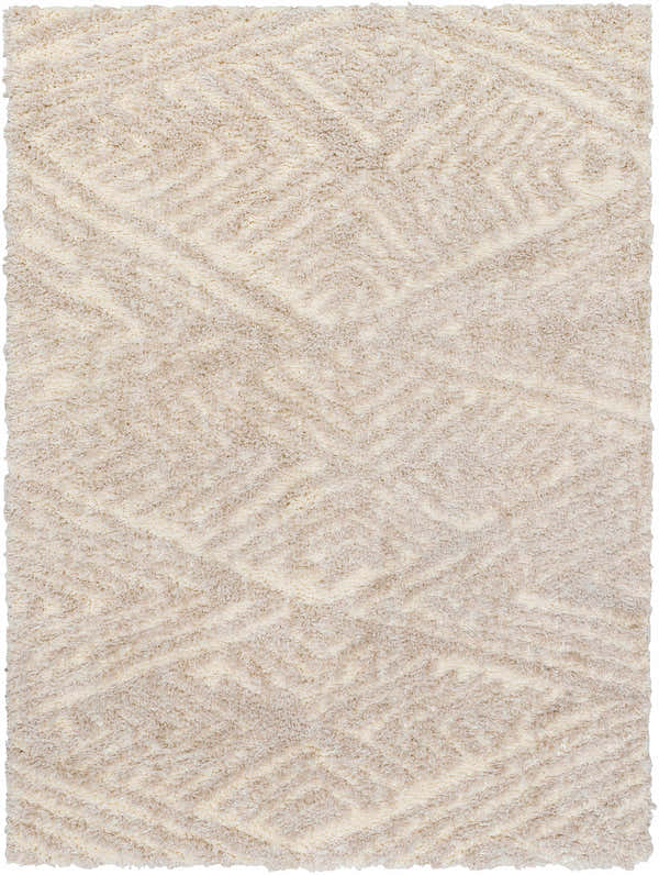 Sample Aysun Beige Plush Area Rug - Clearance