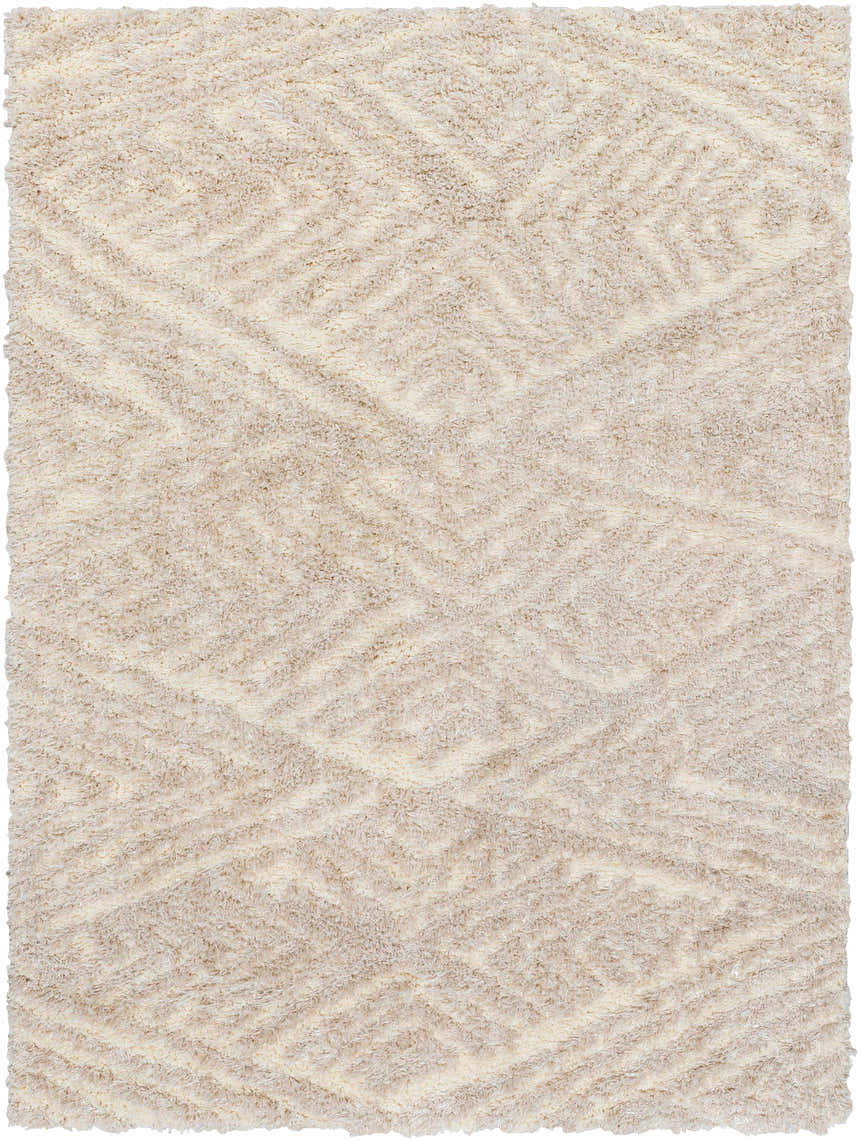 Sample Aysun Beige Plush Area Rug - Clearance