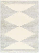 Sample Bayan Gray Plush Area Rug - Clearance
